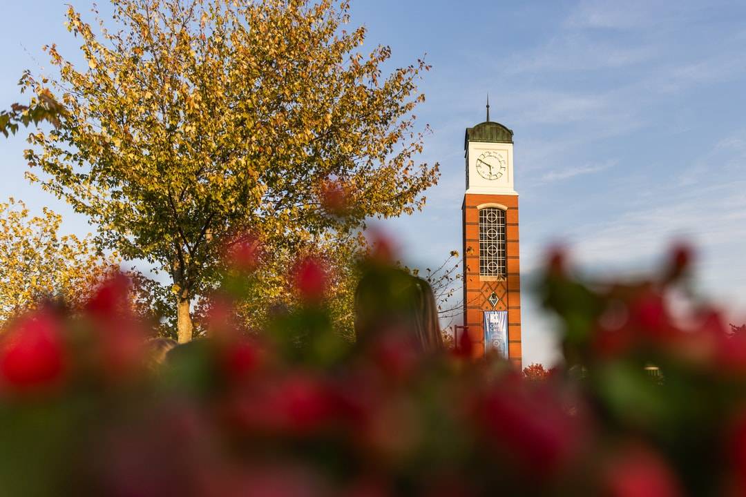 Cook Carillon Tower